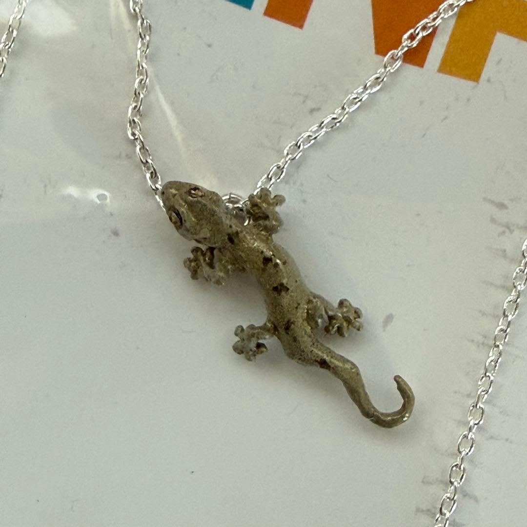 NINA ニナ トカゲ４個セット