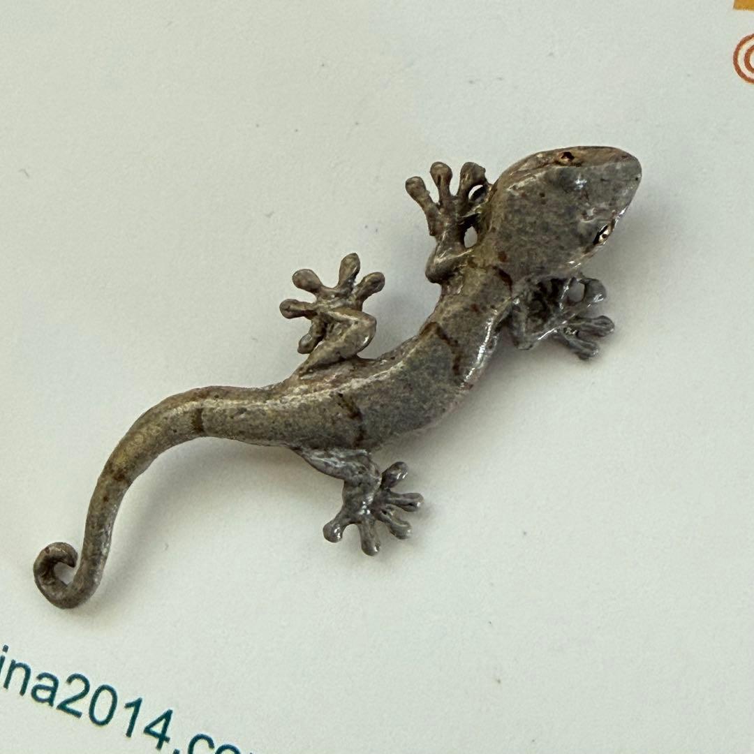 NINA ニナ トカゲ４個セット