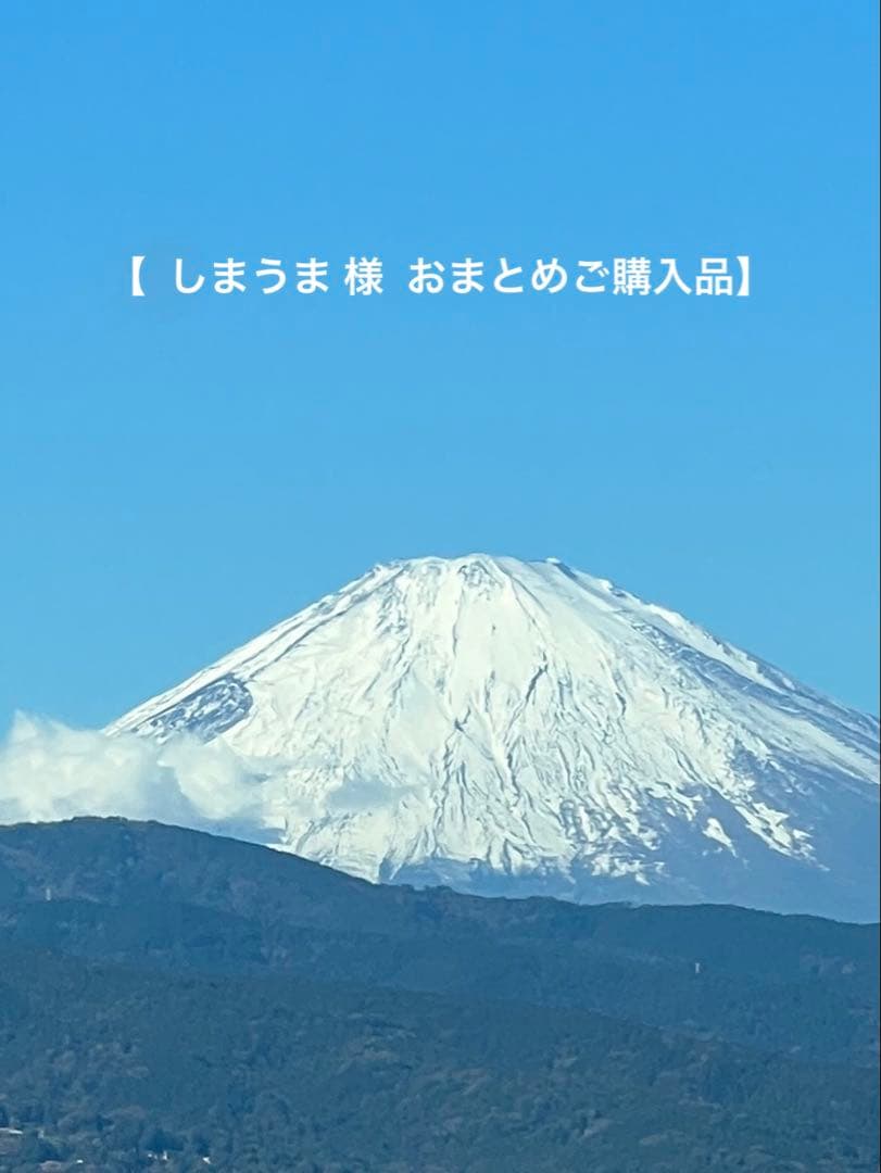 【しまうま 様 おまとめ購入品】