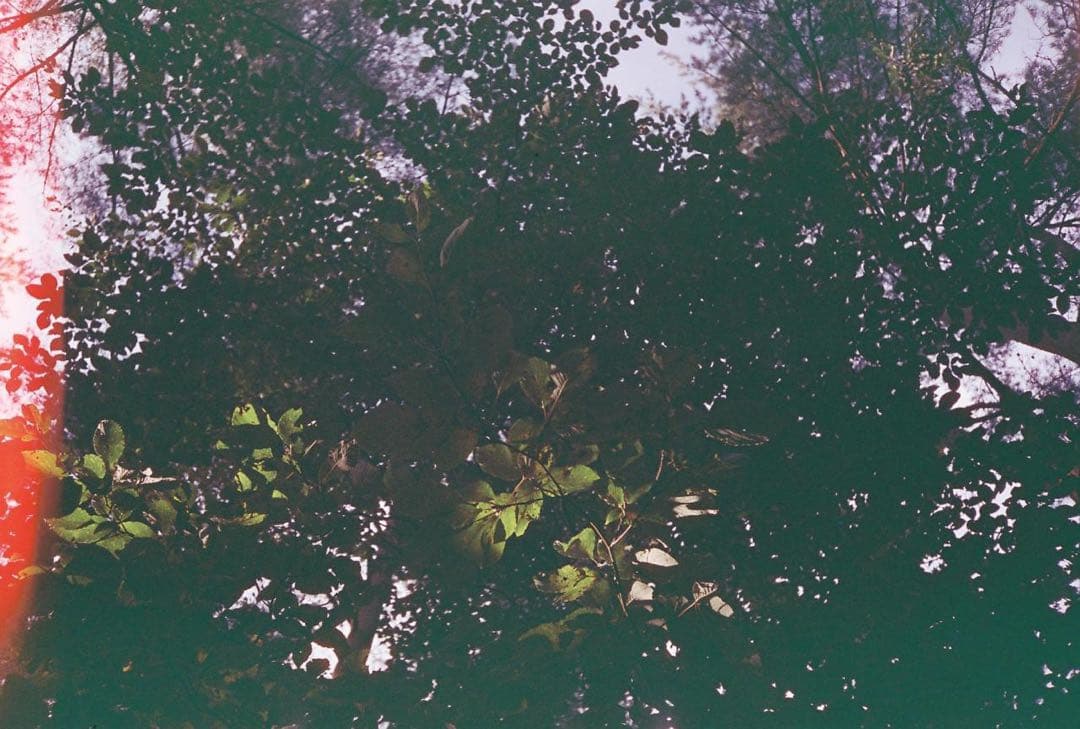 オリンパス OLYMPUS μ