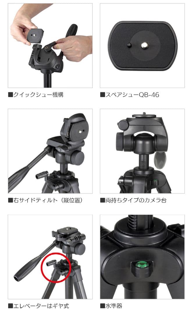 その他 VeIbon EX-444