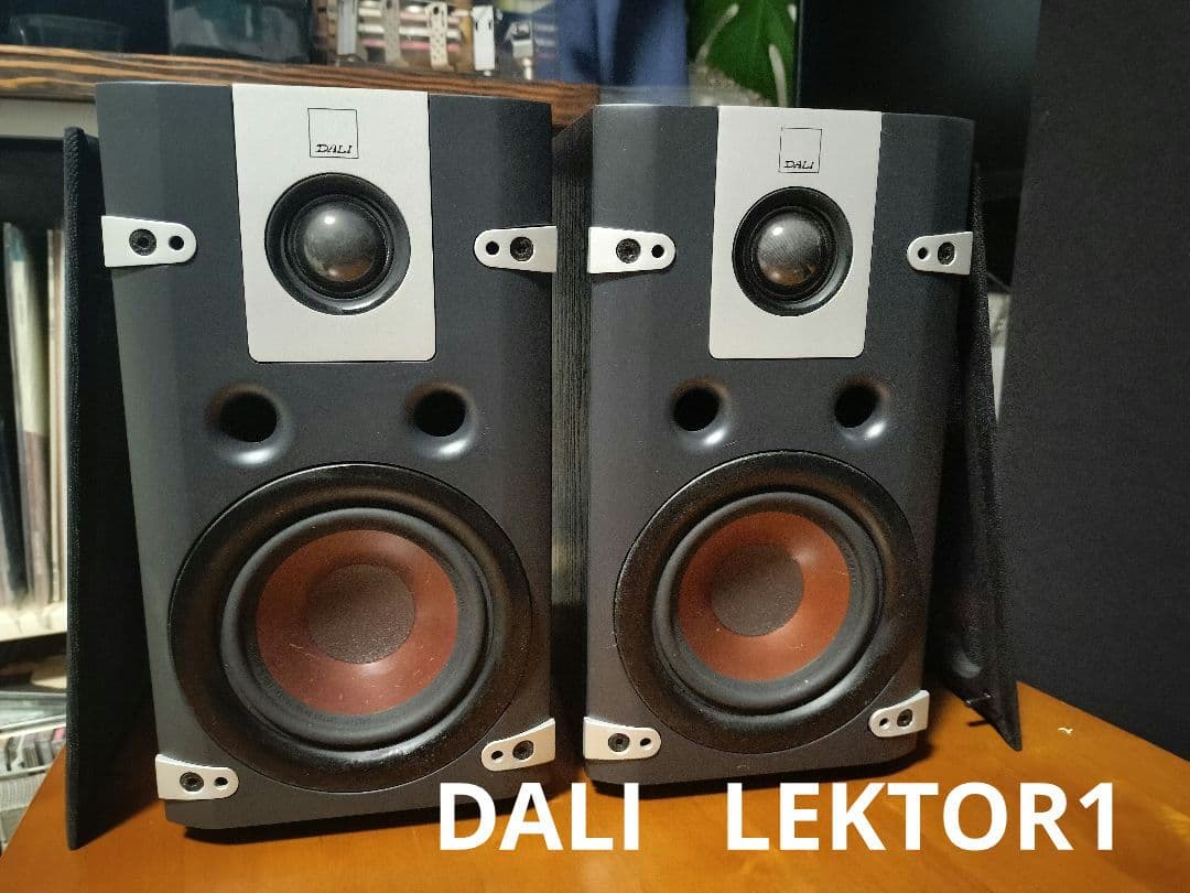 DALI LEKTOR1 動作品 ダリ ブックシェルフスピーカー
