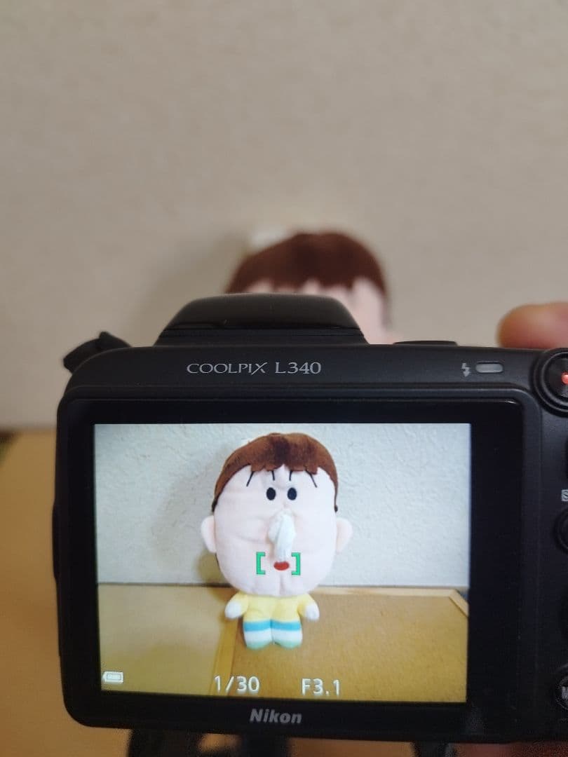 【動作品】Nikon COOLPIX L340 単3電池式