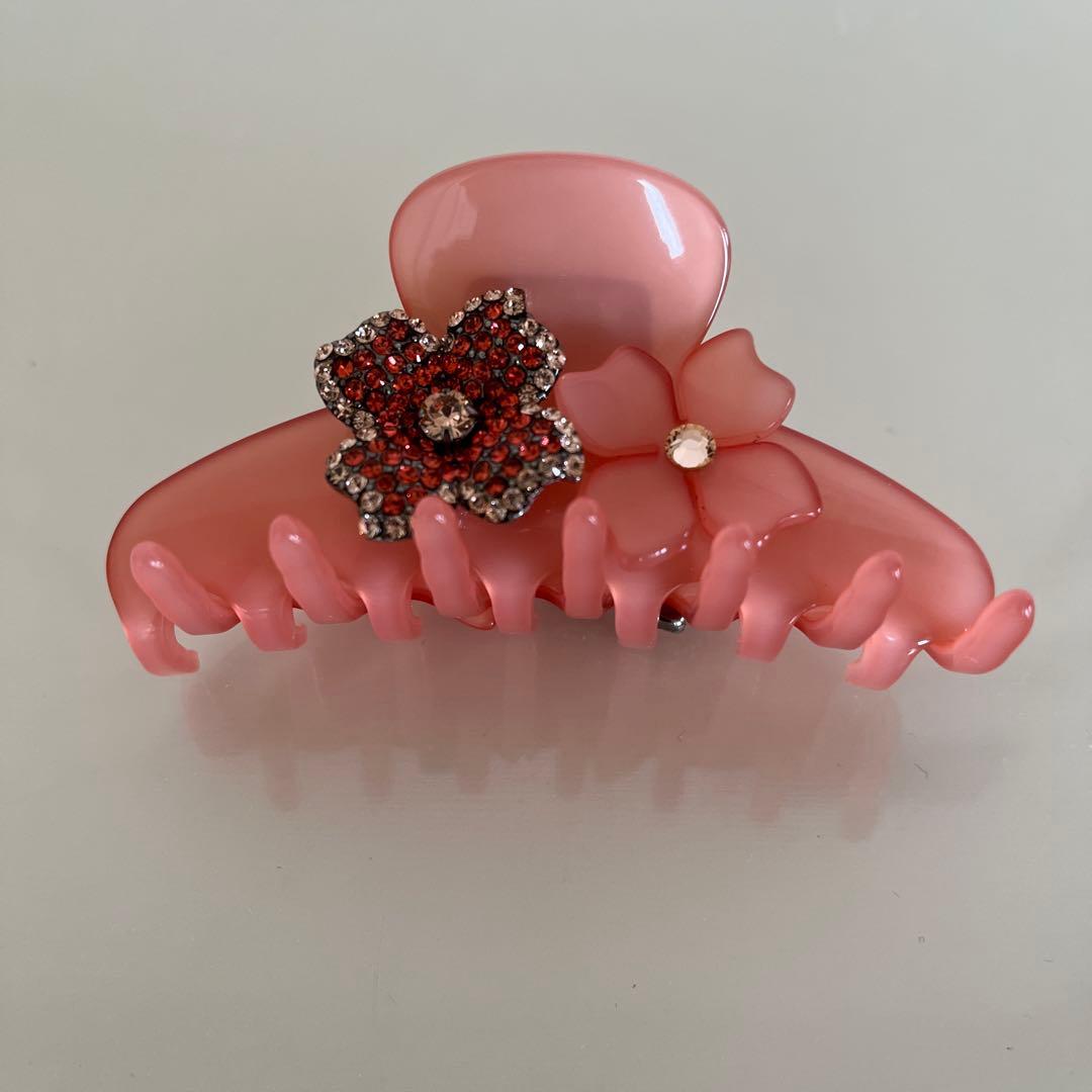 Alexandre de Paris アレキサンドルドゥパリ　クリップ