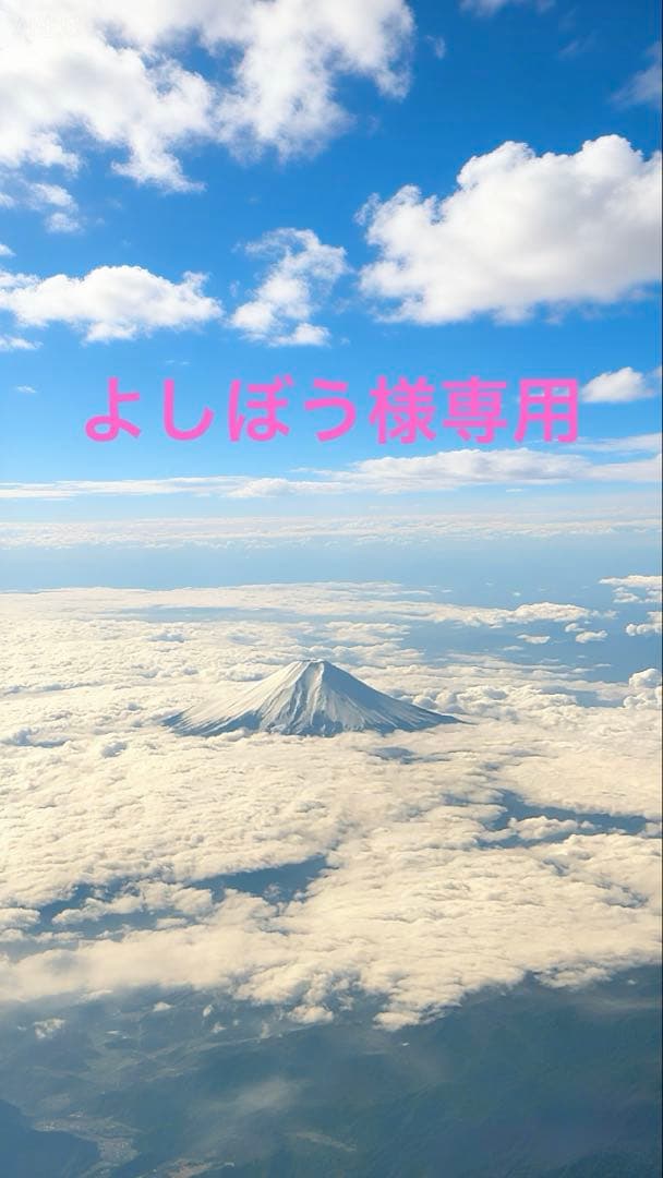 TUMI 「フィンチ」 レインカバー付き バックパック