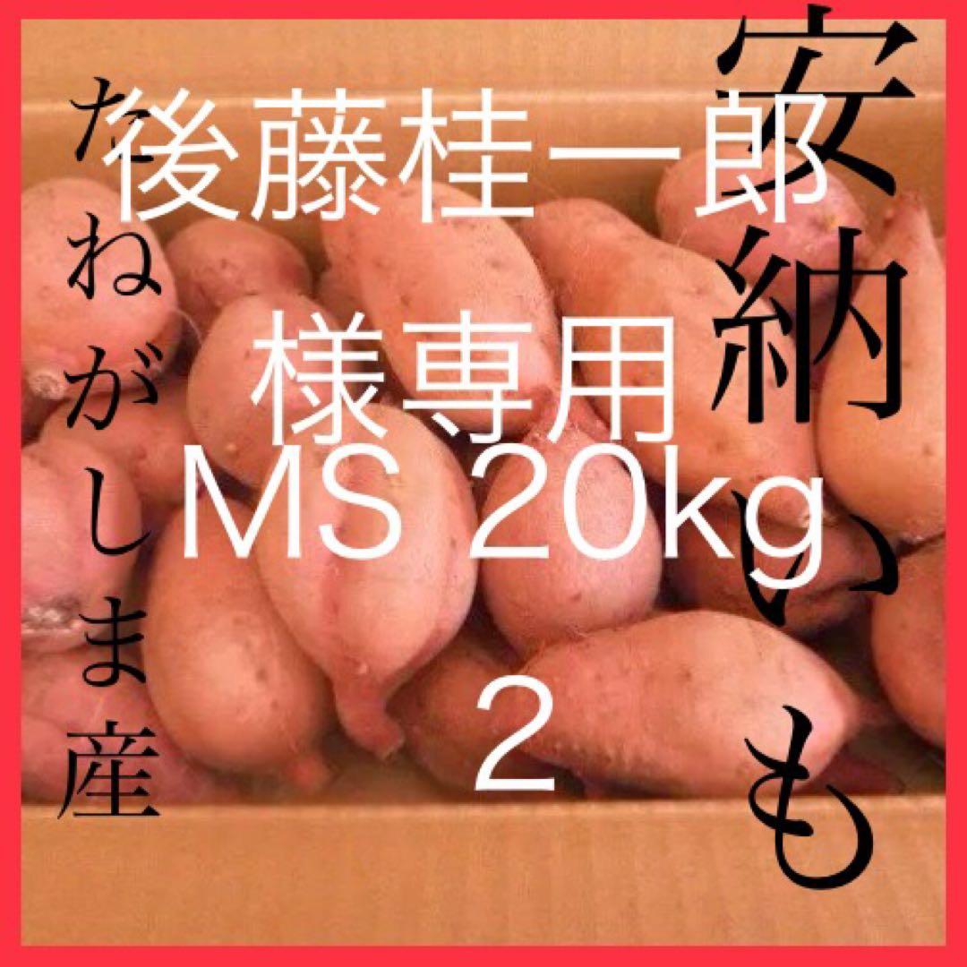 新鮮 さつまいも 20kg 後藤桂一郎　安納芋2