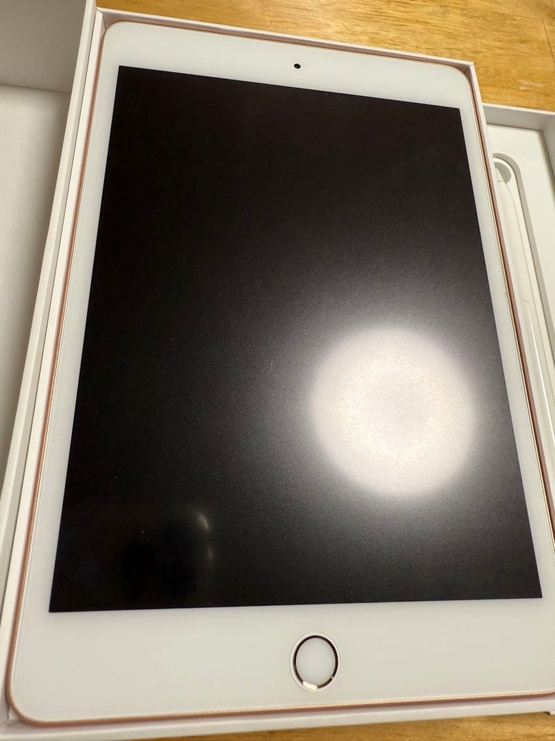 iPad mini (第5世代) 256GB➕Apple Pencil第一世代