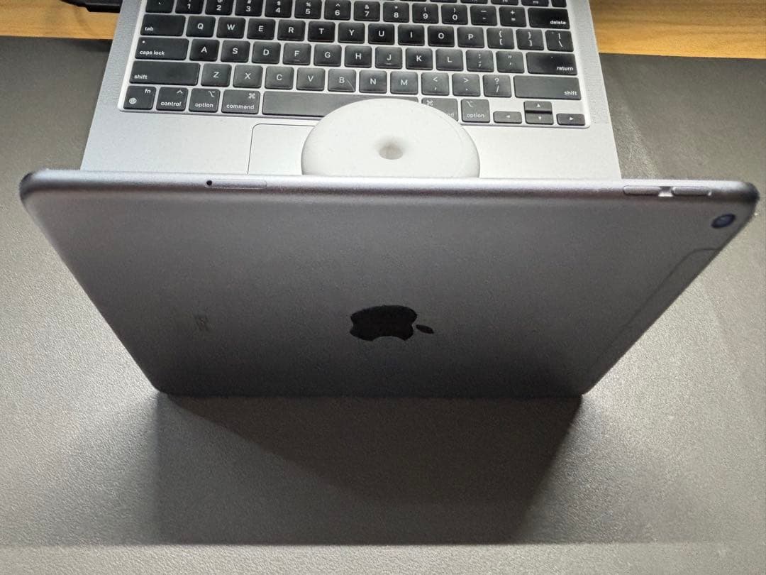 【セット売り】iPad mini 5セルラー64GB +Apple Pencil