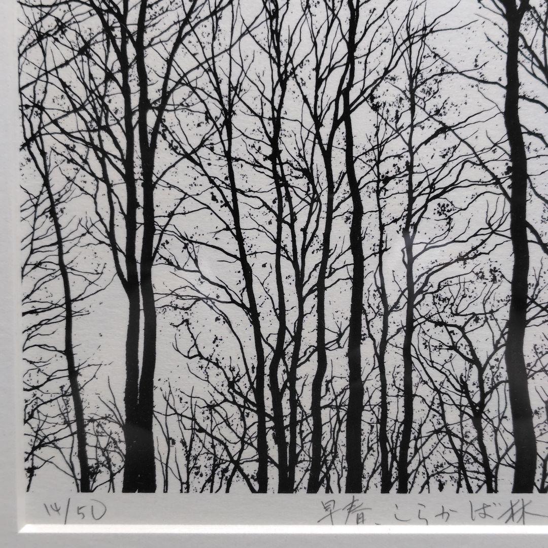 シルクスクリーン 富岡惣一郎 早春 しらかば林 限定50部 日本経済新聞社発行