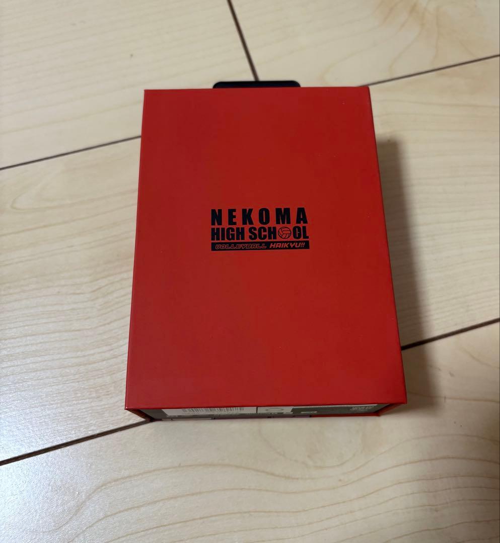 AVIOT×ハイキュー!! 音駒高校モデル TE-Q3-HK2