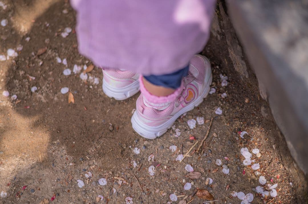 レンズ(単焦点) Voigtlander Nokton 75mm F1.5 VintageLine