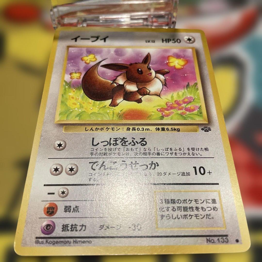 旧裏ブイズセット　★第二弾ポケモンジャングル