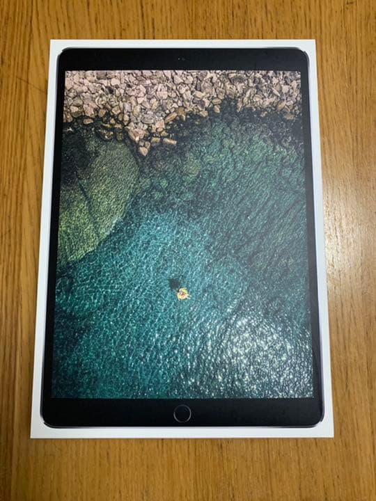 羅APPLE iPad ProApple Pencil  spigen