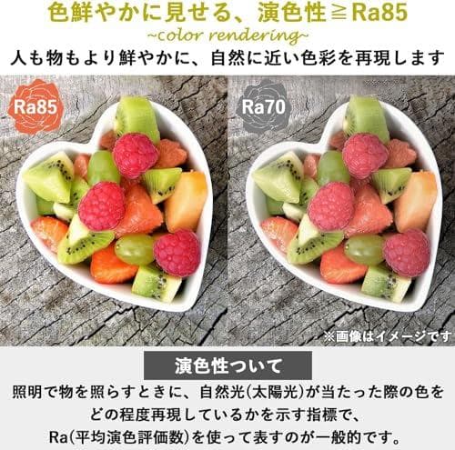 [山善] LEDシーリングライト 12畳 (日本照明工業会基準) 5300lmp