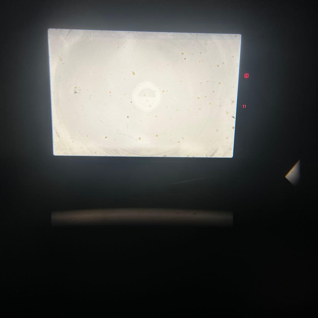 Canon AE-1 P+FD 50 f2.0 鳴きなし完動外観極美品