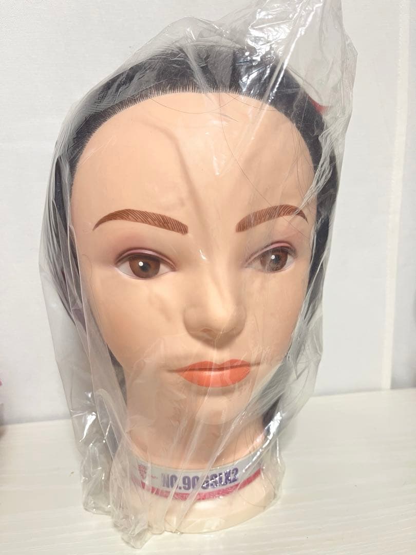 レジーナ ワインディング ウィッグ 国試用