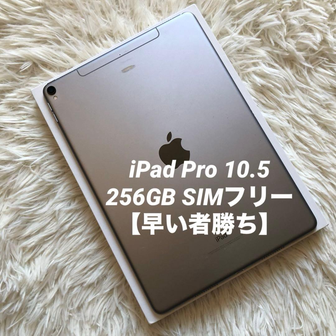 【完動品】iPad Pro 10.5 256GB SIMフリー 【すぐ発送】