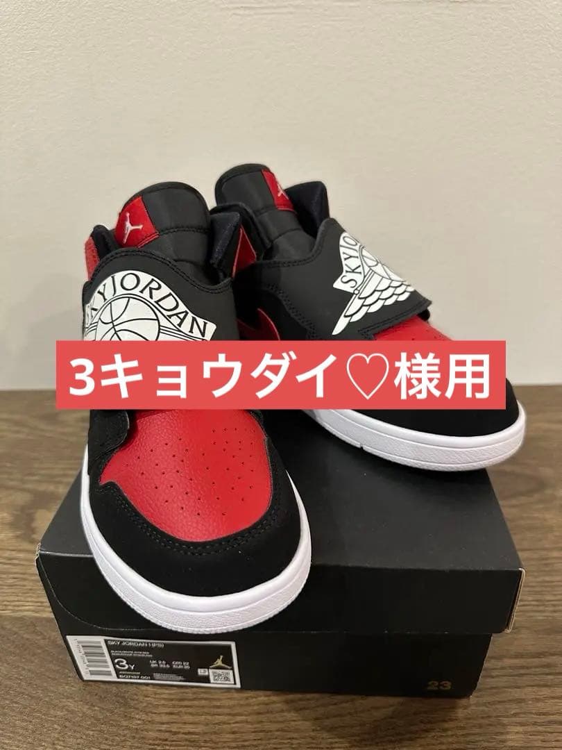 スカイJordan 22センチ　3足
