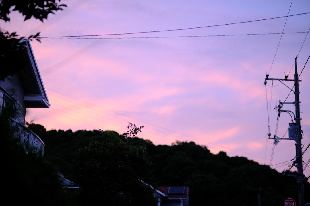 ショット数200未満 FUJIFILM X-Pro3 箱、付属品付