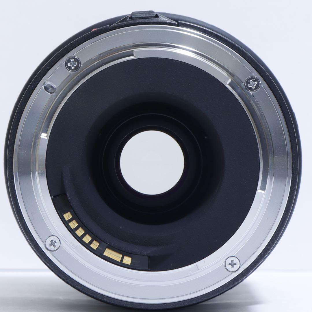 ◇大迫力300mm超望遠◇ TAMRON 70-300mm for Canon