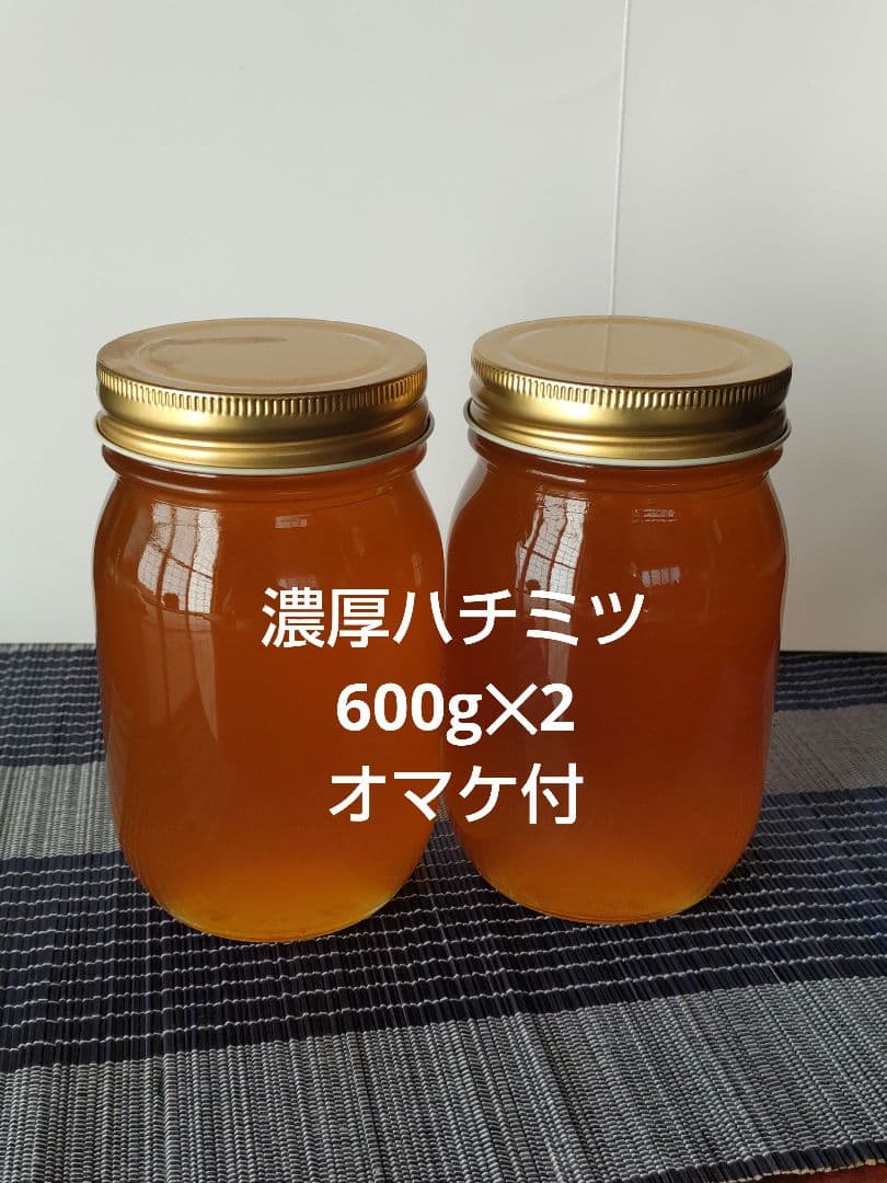 日本ミツバチ濃厚蜂蜜（秋蜜600g✕2）