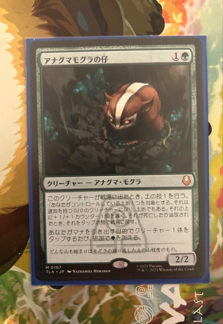 アナグマモグラの仔/Badgermole Cub 1枚 日本語