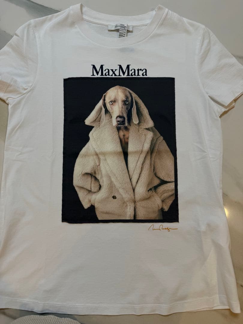 【美品】クリーニング済　マックスマーラTシャツ 2枚セット