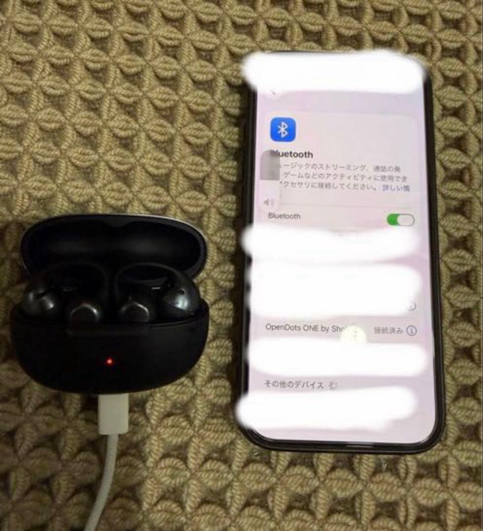 【中古】2025年5月購入SHOKZ OPEN DOTS ONE ※訳あり