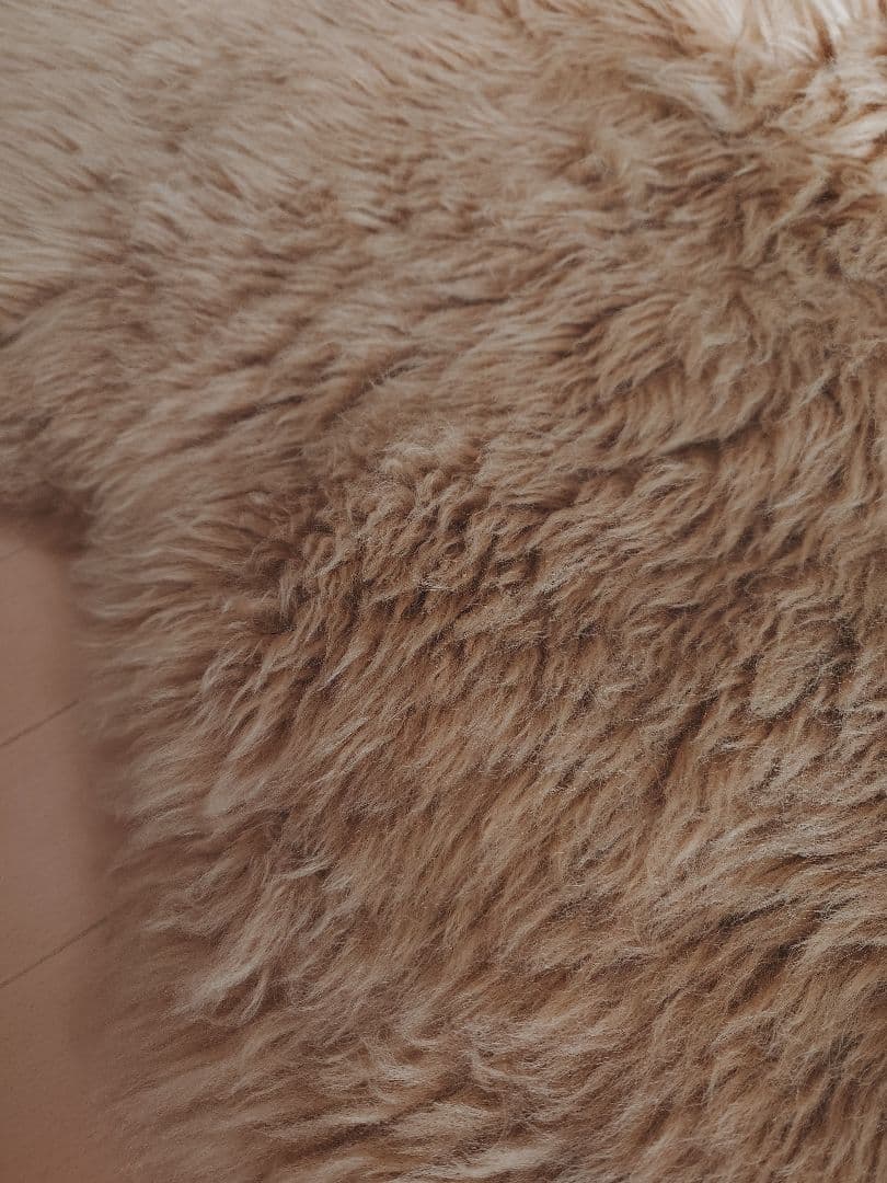 ムートンラグ　ムートンフリース　2匹