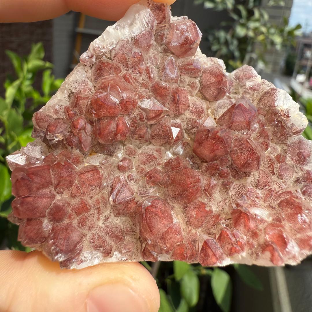 希少❣️ ザンビア産　高品質　幻影水晶　レッドファントム　クラスター　赤富士②