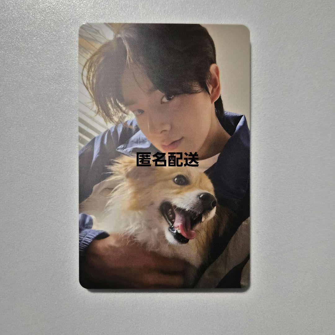 ENHYPEN アンケートトレカ