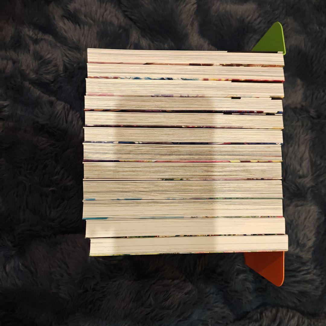 ある日、お姫様になってしまった件について 12巻セット