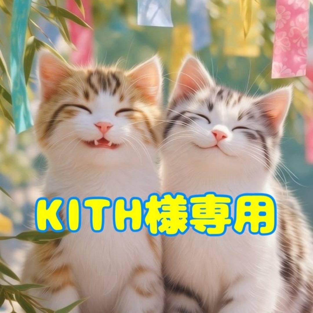 ⭐︎KITH⭐︎【dinos】abode ショージ オケージョナルテーブル