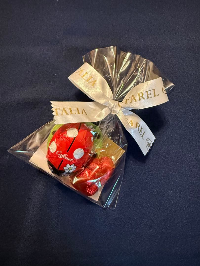 《お値下げ》Caffarel チョコレートセット　プレゼント付き