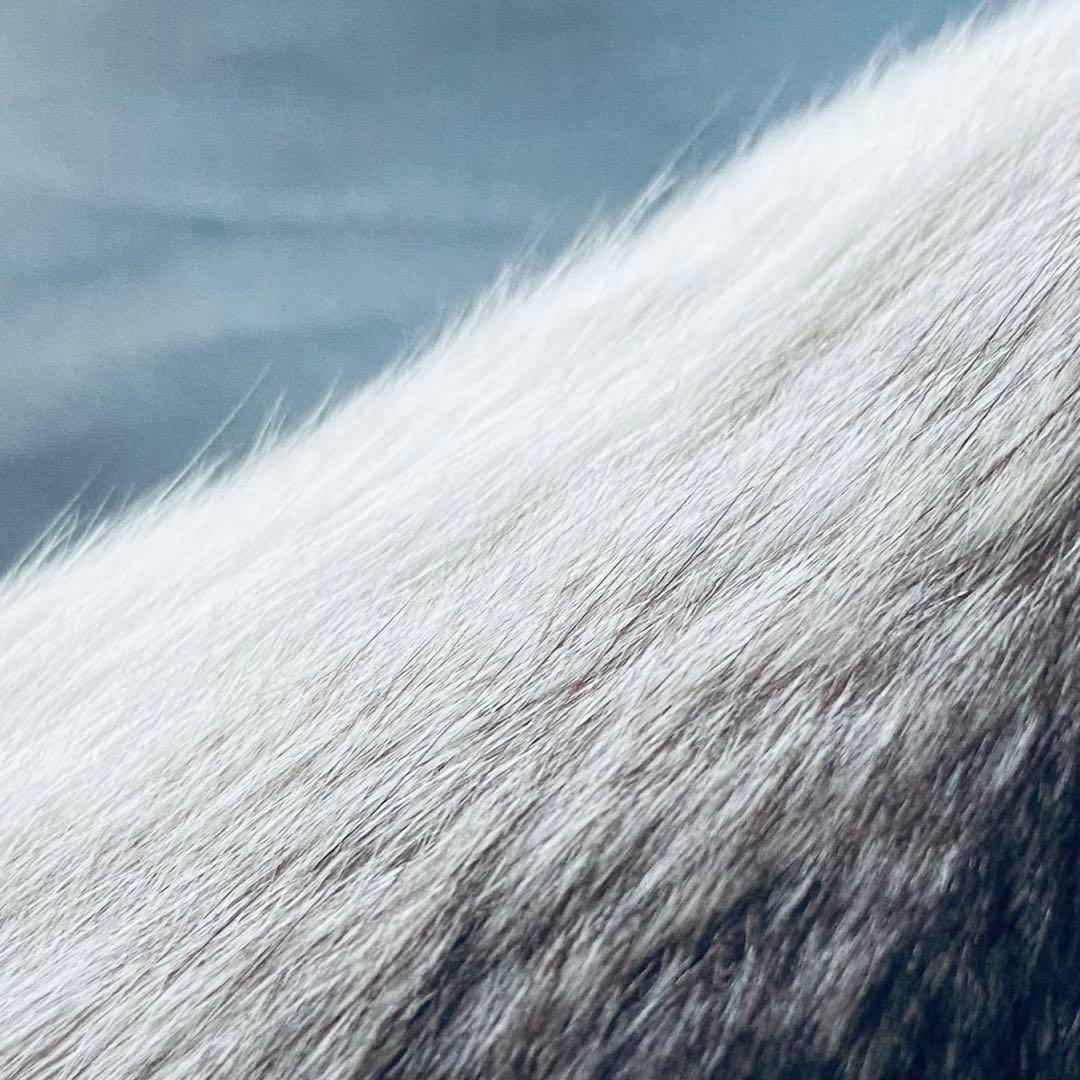 新品同様✨◆THE BANG◆200万 デンマーク王室御用達チンチラケープコート