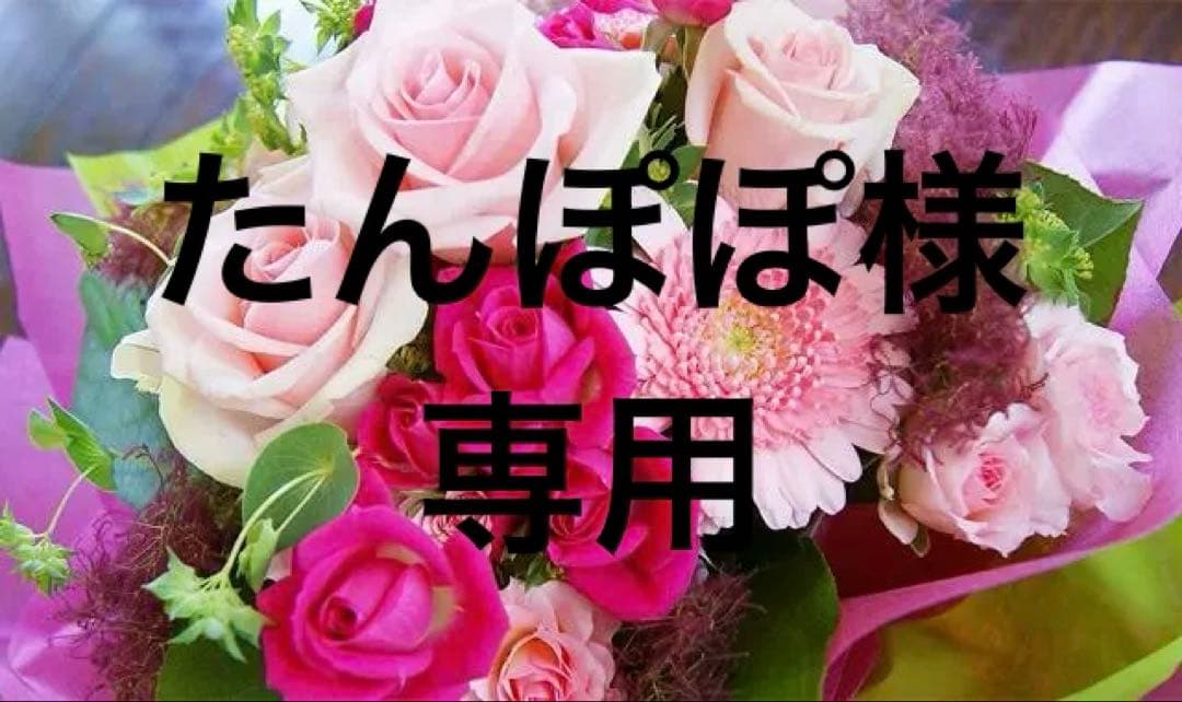 たんぽぽ16S＆ImprimeTU/423OP/900TU