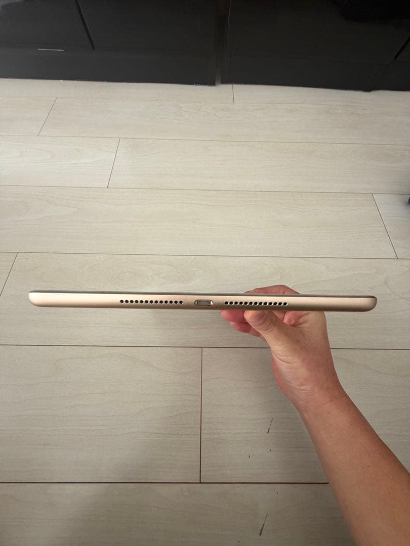 iPad 第5世代 32GB Wi-Fi+Cellular 本体