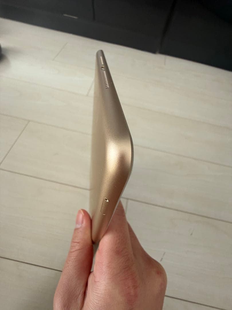 iPad 第5世代 32GB Wi-Fi+Cellular 本体