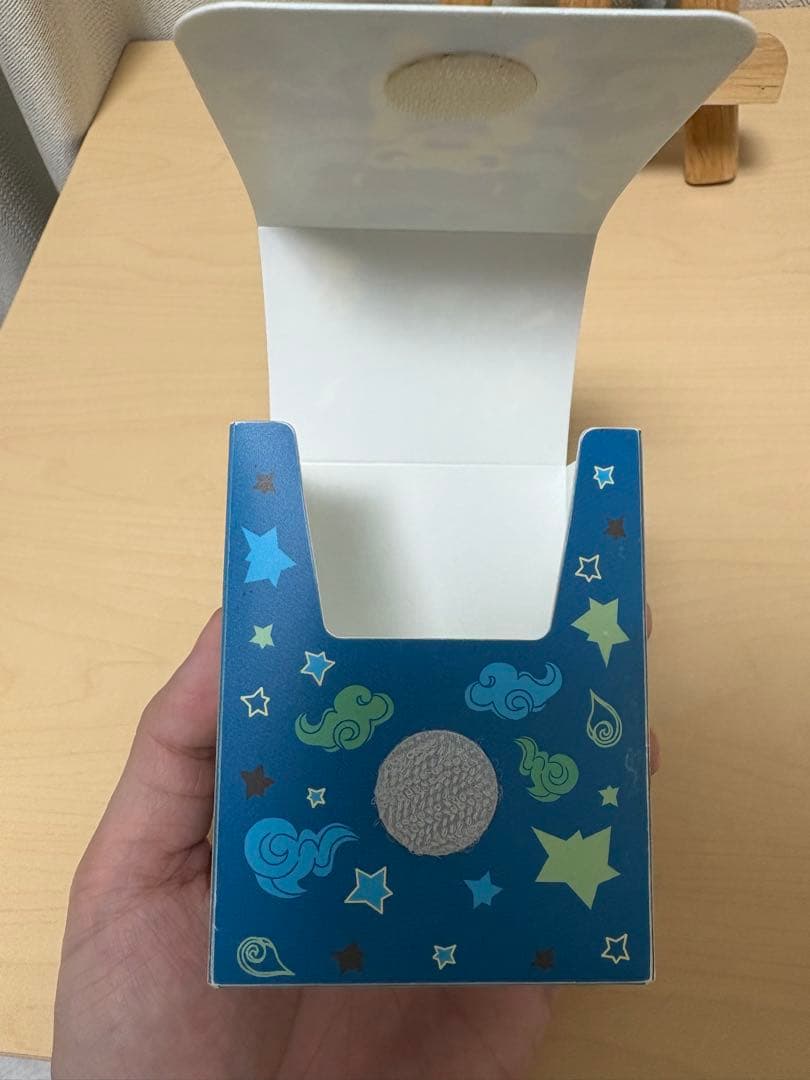 ポケカ　メガリザードンXのポンチョを着たピカチュウ デッキケース