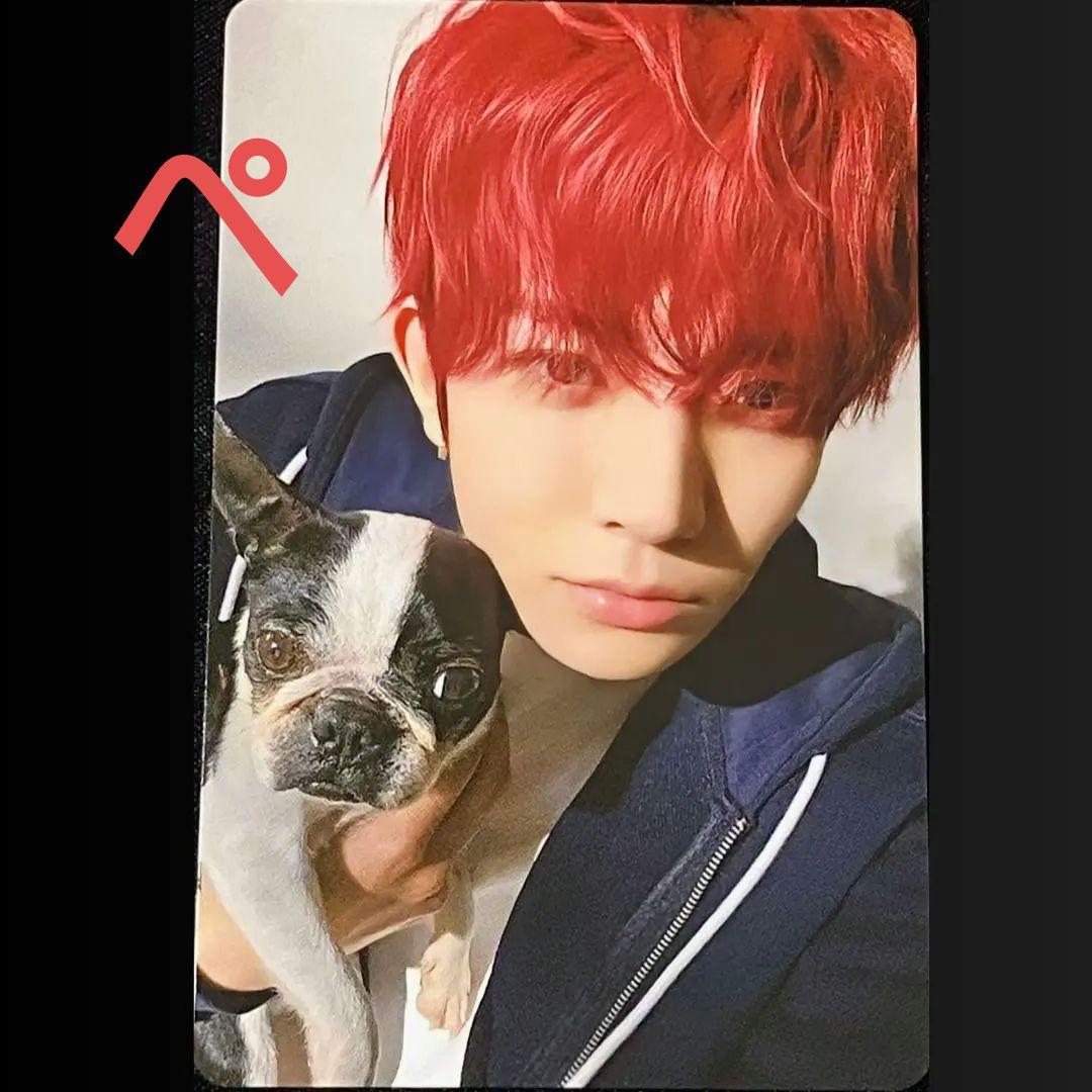 【ヒスン】ENHYPEN ヒスン アンケートトレカ