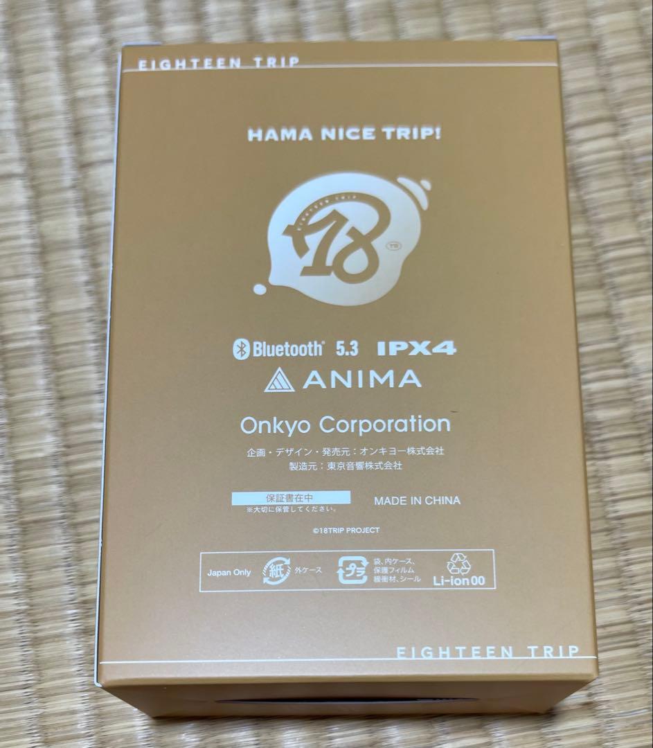 Renga Nishizono ワイヤレスイヤホン ANIMA AOW04