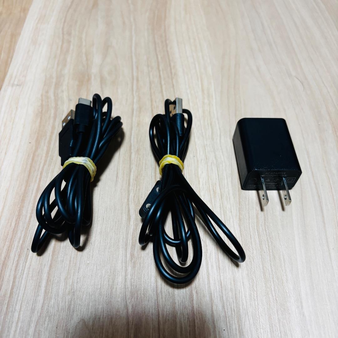 ほぼ未使用　ランボルギーニ美顔器 ALPHA ONE アルファワン　シルバー