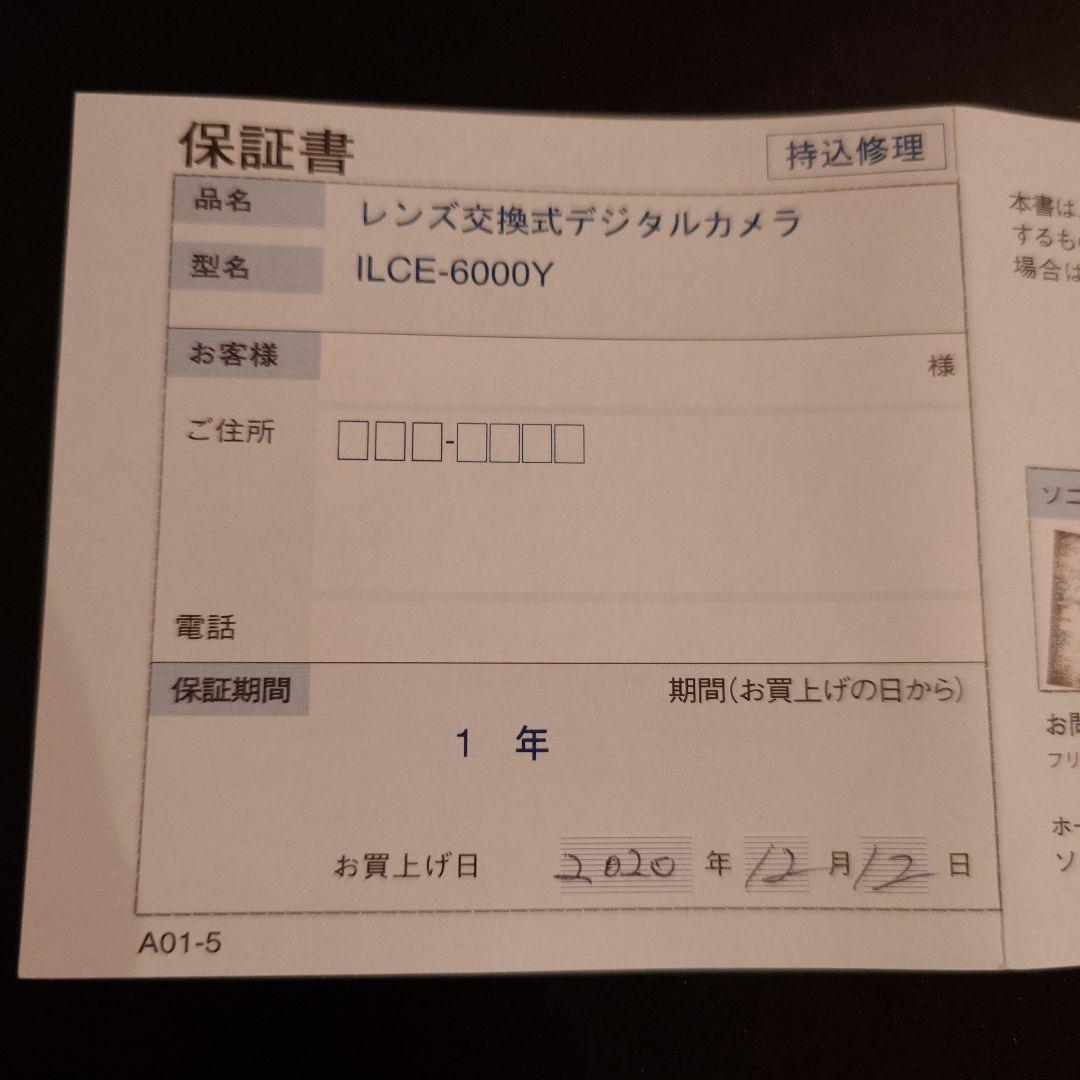 【美品、シャッター数極少】Sony α6000 ミラーレス一眼 カメラセット