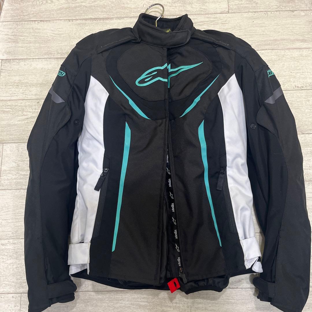 アルパインスターズ　ステラ　レディースS