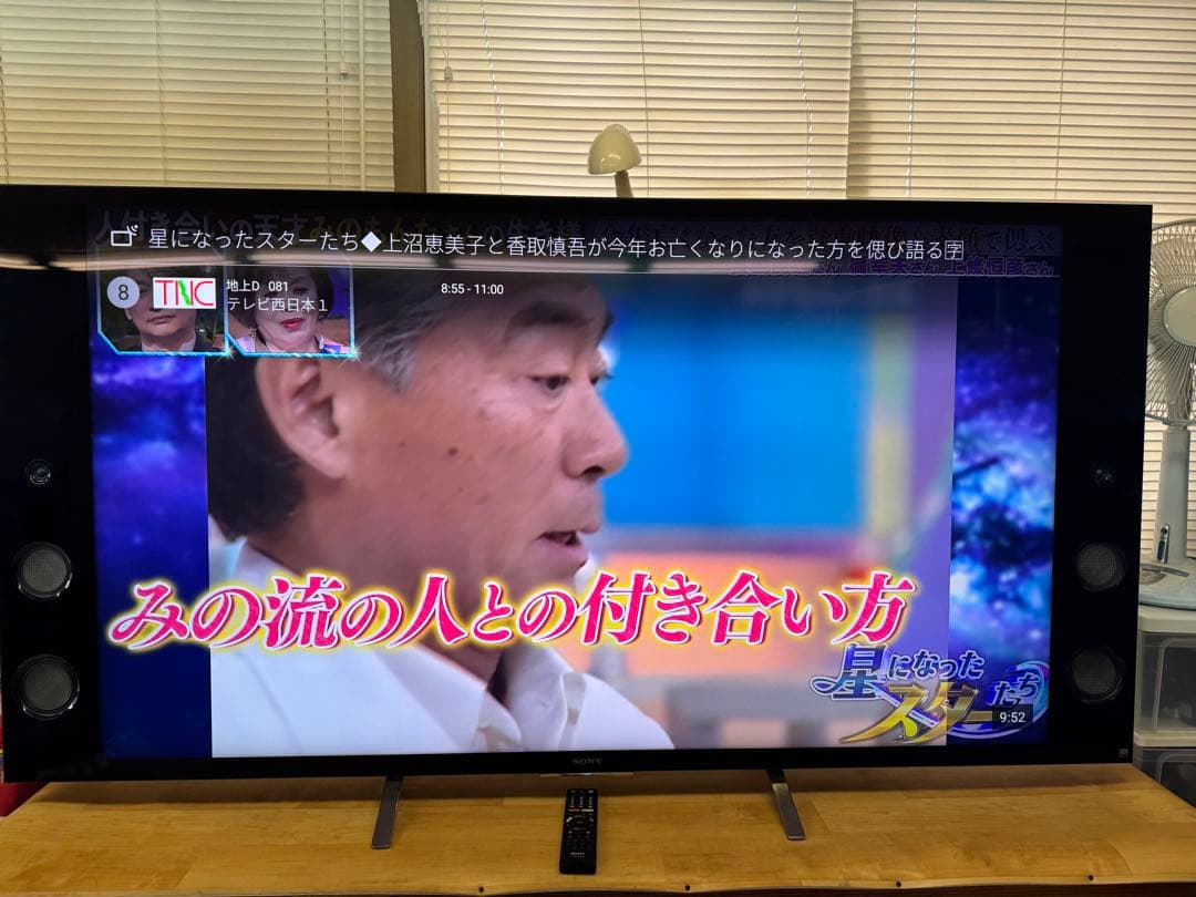 SONY ソニー 液晶 テレビ 65型 地デジ 地上波 電化製品 家庭用 動作品
