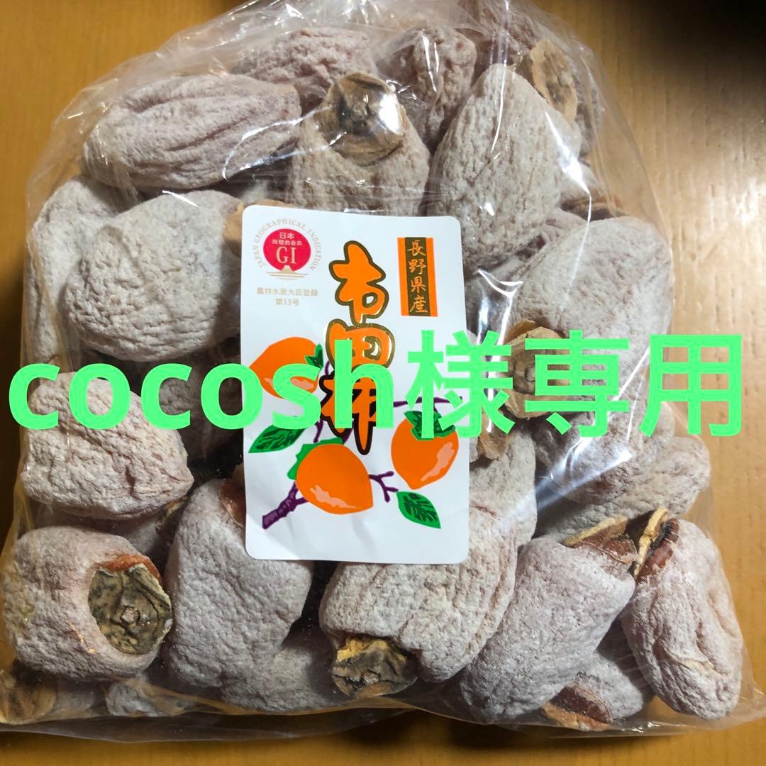南信州産市田柿約5kg(1kg×5袋)