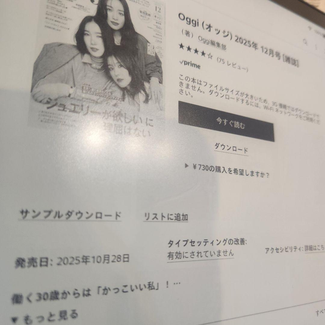 Kindle Scribe 本体 タッチペン　替芯