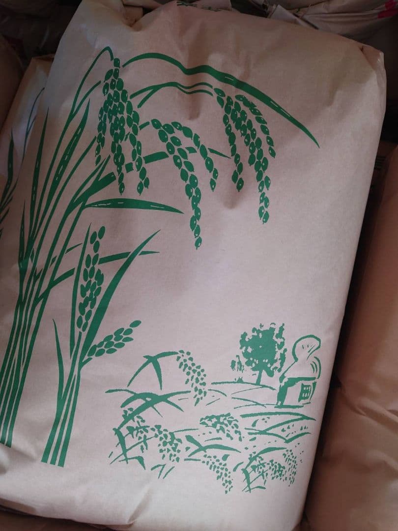 みやぎ米【玄米30kg】令和7年宮城県産ひとめぼれ