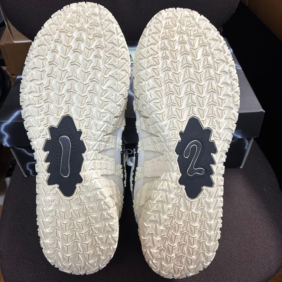 シューズ(男性用) NIKE JA3 EP