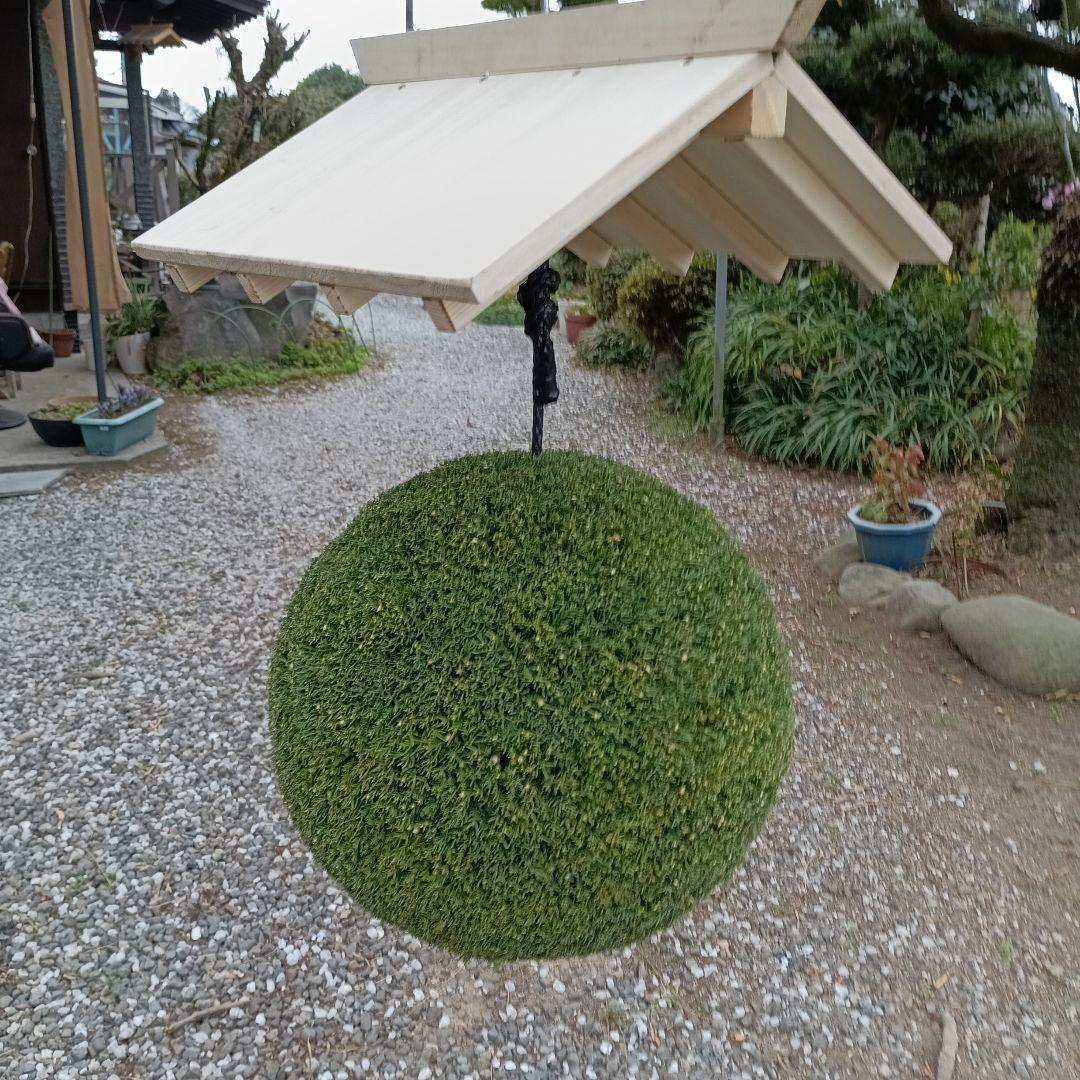 杉玉　直径34ｃｍ 屋根付き